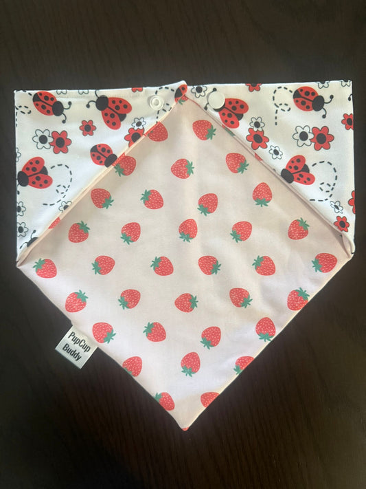 Lucky Ladybug Bandana