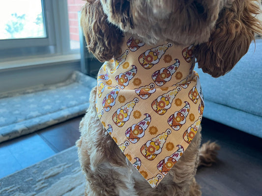 Autumn Harvest Gnome Bandana