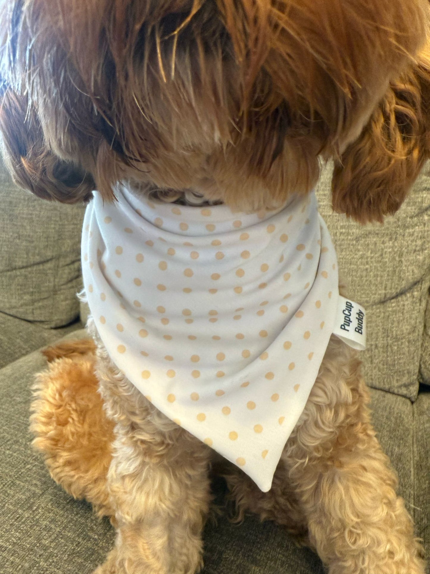 Farm Fresh Bandana