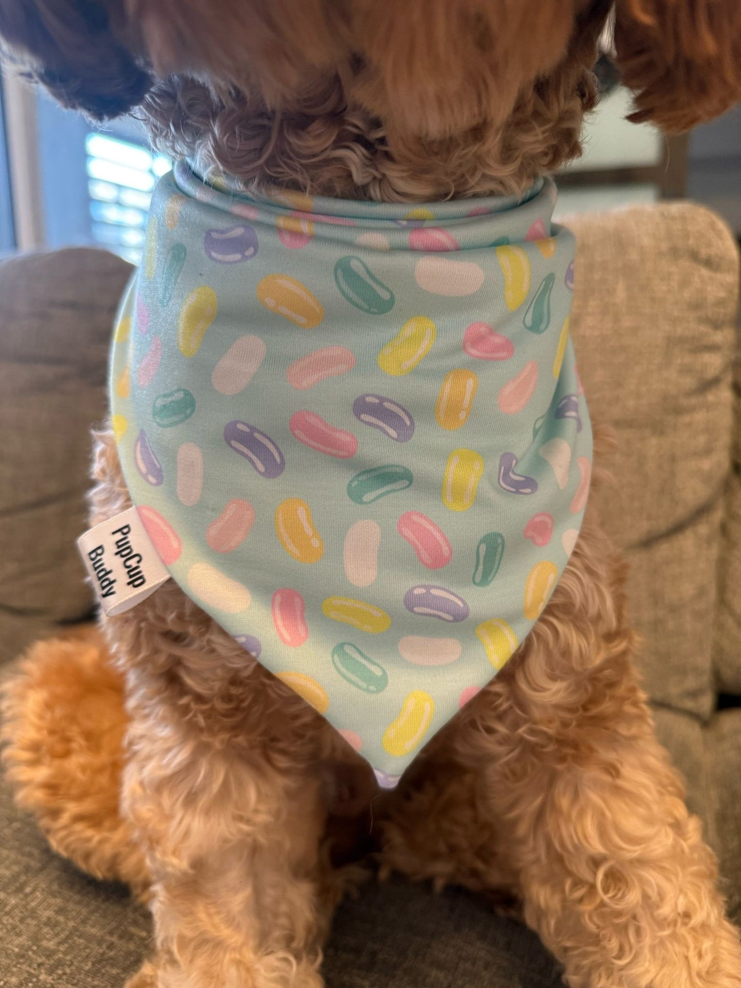 Eggstra Cute Bandana