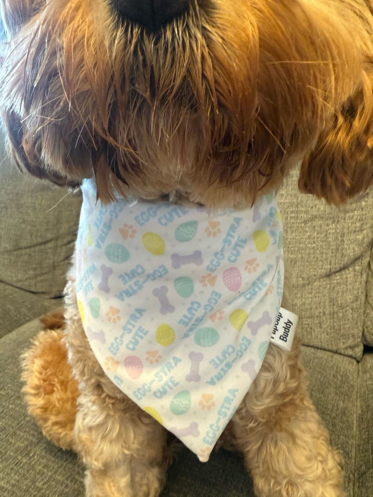 Eggstra Cute Bandana