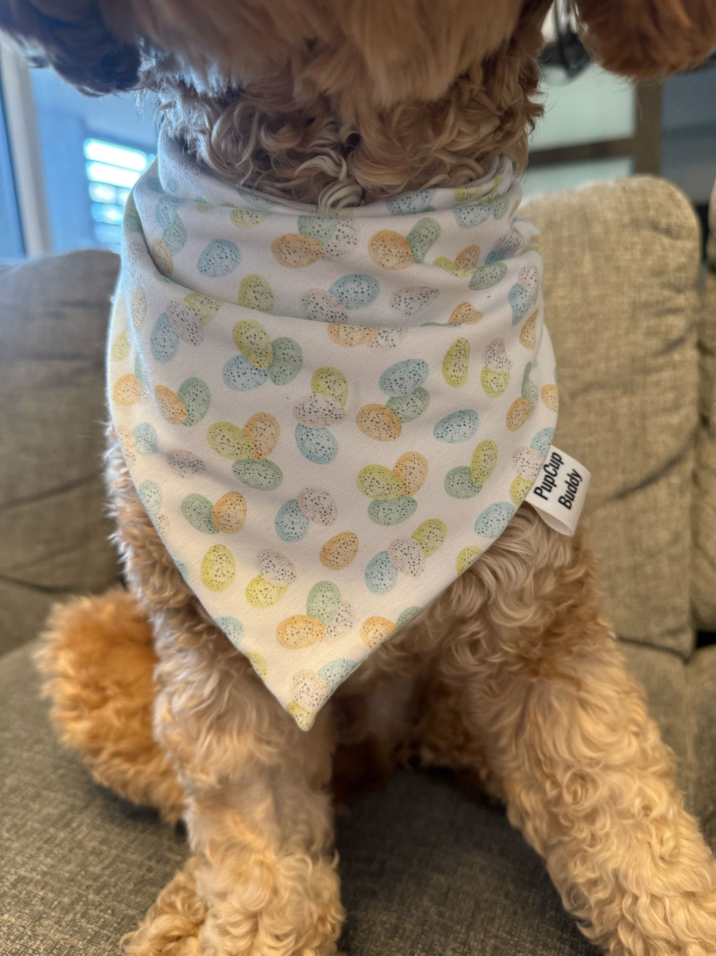 Somebunny’s Favorite Bandana