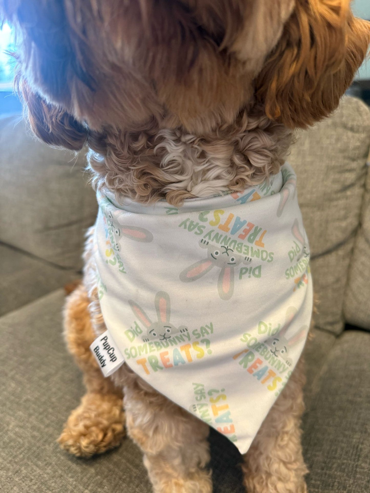 Somebunny’s Favorite Bandana