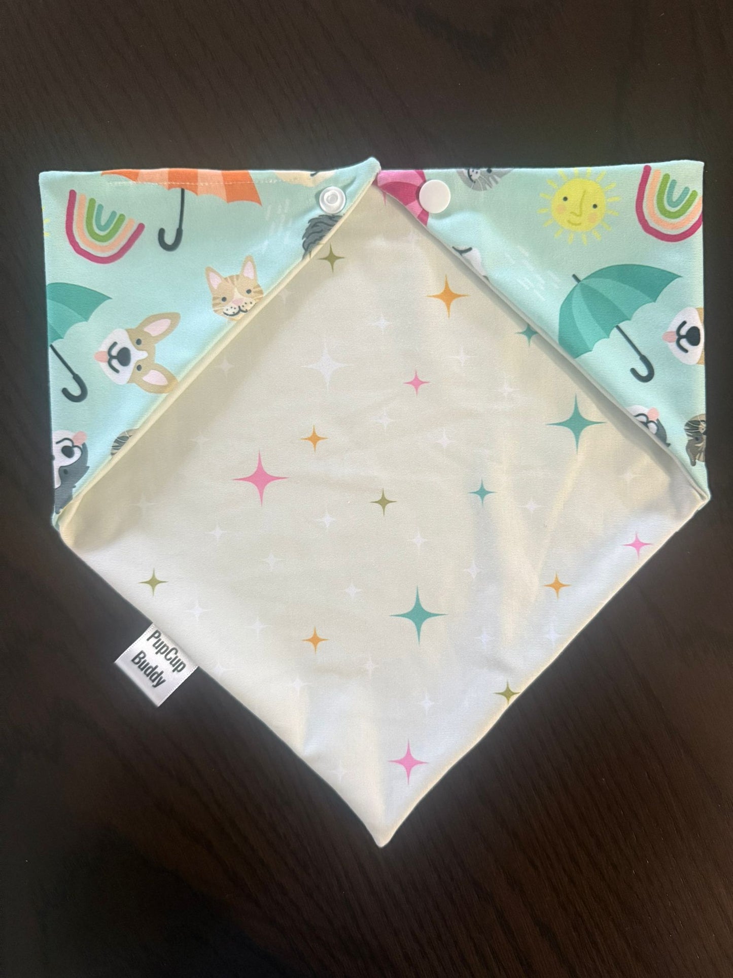 Rain or Shine Bandana