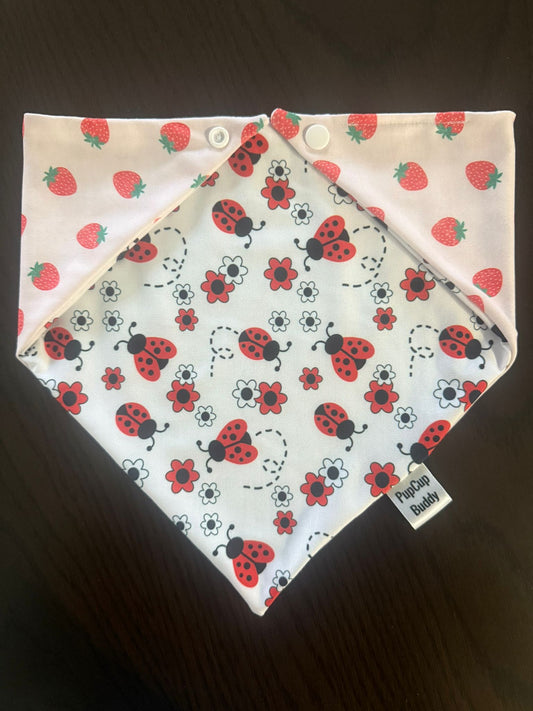 Lucky Ladybug Bandana