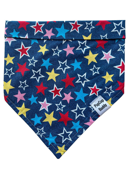 Starry Night Bandana