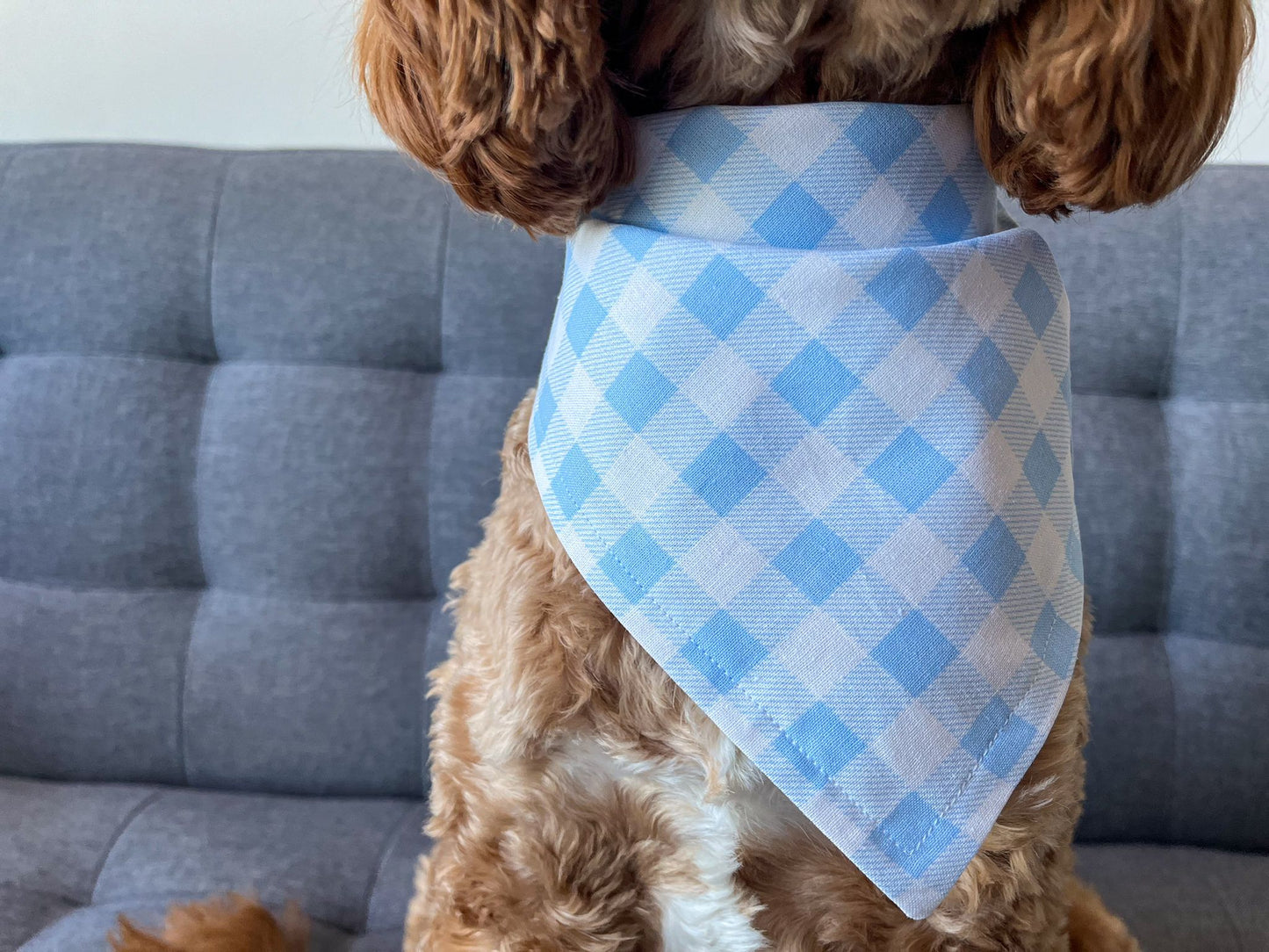 Blue Gingham Bandana