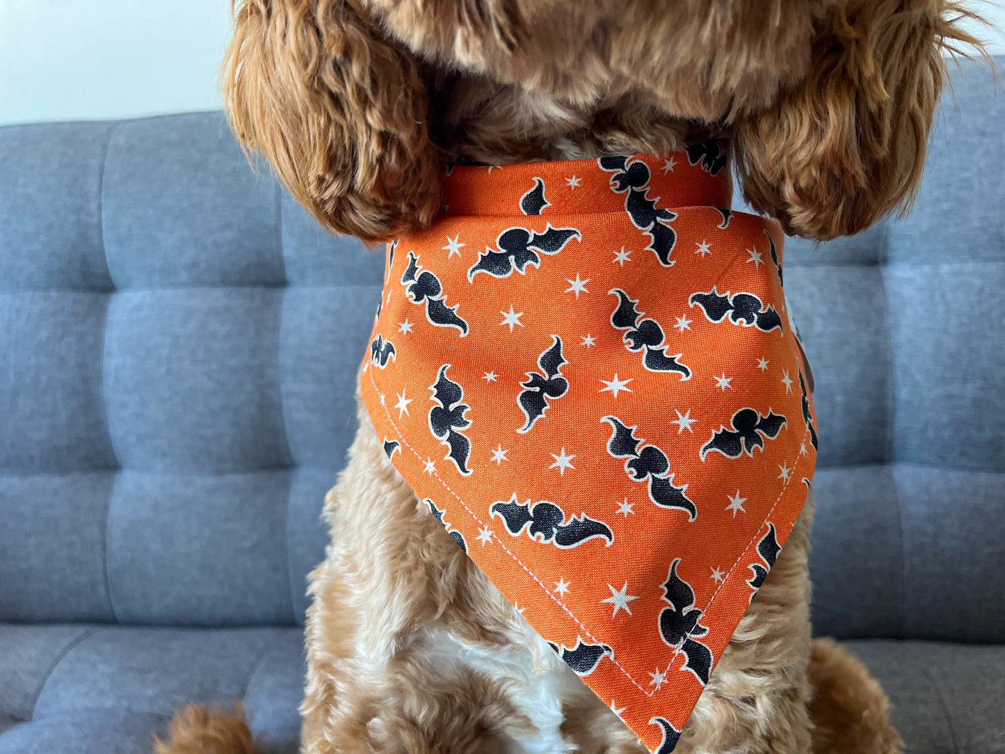 Glow-in-the-Dark Bats Bandana