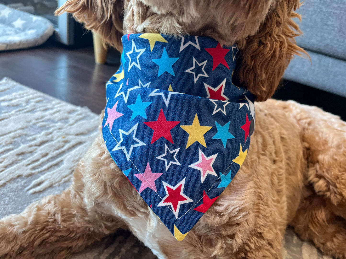 Starry Night Bandana and Scrunchie Set